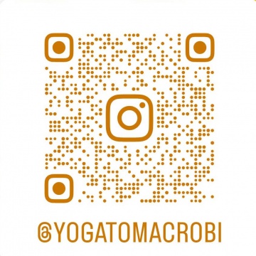 Instagramやっております